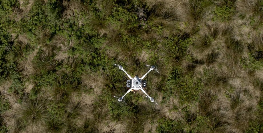 Фото: WWF/Dendra