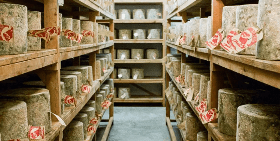 элитный сыр