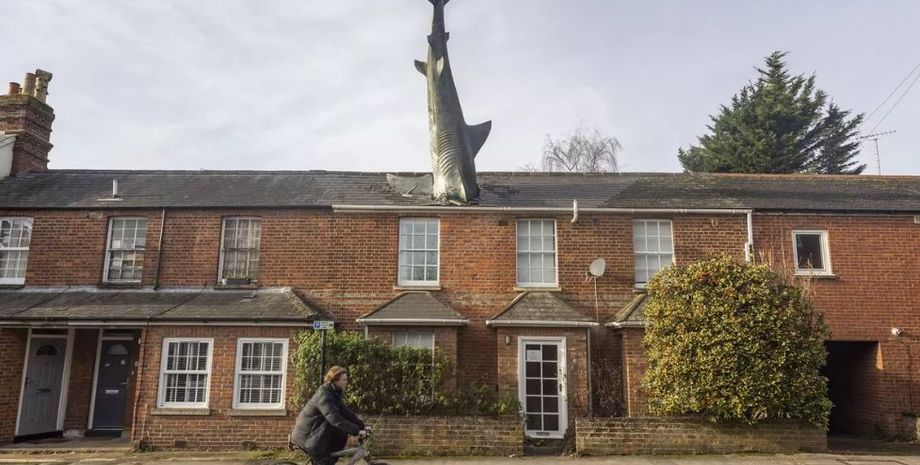 Довгострокова оренда, будинок з акулою на даху, курйози, цікавинки, приколи, дивні історії