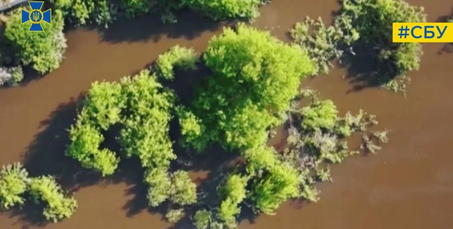 новости херсона, сбу херсон, ВС РФ, беспилотник, ВОГ