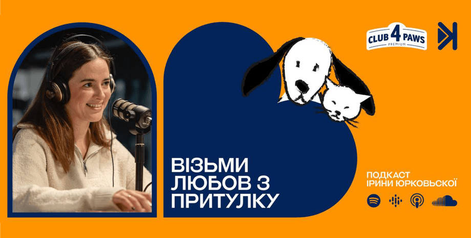 Что делать, когда нашел на улице животное? Как не пройти мимо с пользой? Практические советы от бренда Клуб 4 Лапы