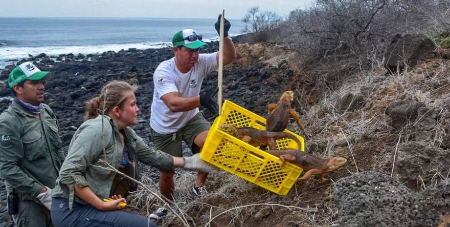 Фото: galapagos.org
