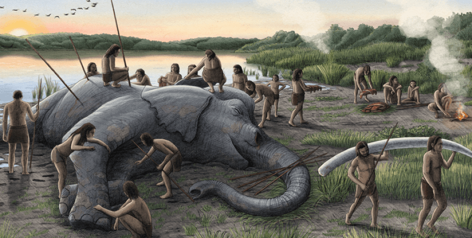 Мисливські практики неандертальців, слон прямобивневий лісовий, Стародавні техніки полювання, Неандертальці в Європі, Останній міжльодовиковий період, Полювання в епоху палеоліту, Археологічні знахідки, еволюції людини
