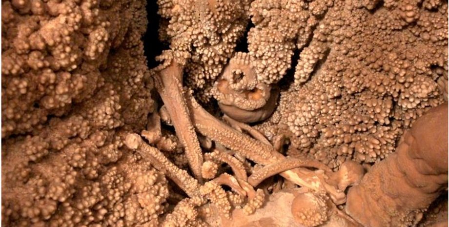 археологи, археология, исследования, неандертальцы, скелет, окаменелость, пещера, кости, исследования, наука, история, гробница, ученые, гоминид, вид, отложения, ДНК