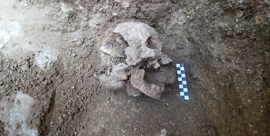 Фото: David Pickel/Stanford University