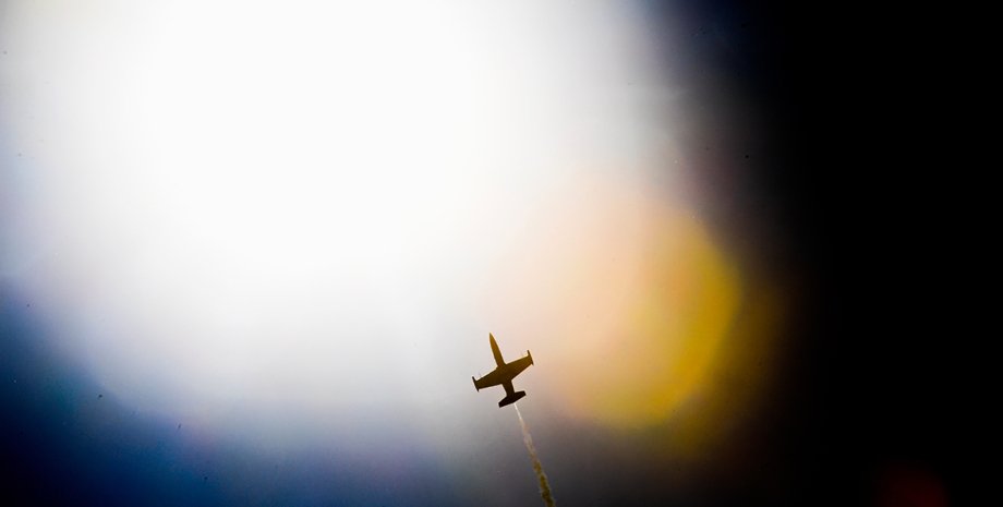 Самолет L-39/Фото: РИА Новости