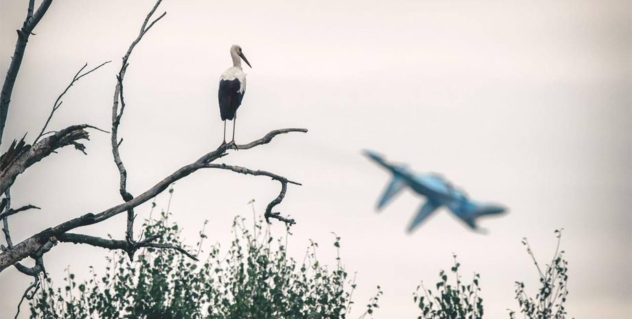 новости хмельницкого, новости украины, атака на аэродром, военный аэродром хмельниччина