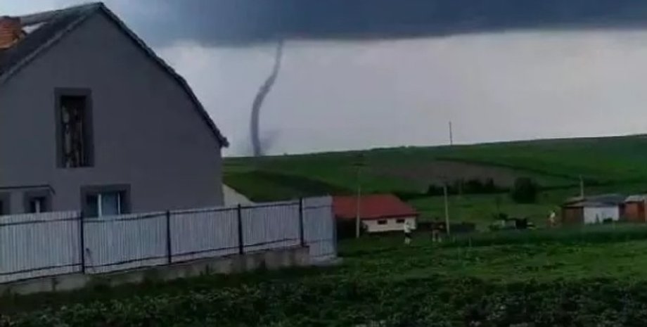 Фото: Скриншот