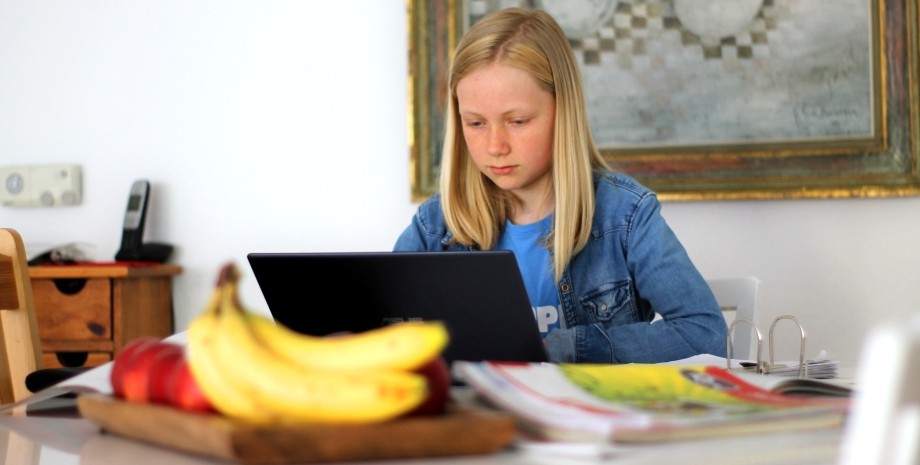 Ребенок девочка учится дистанционно дистенционное обучение школа онлайн олнайн-уроки
