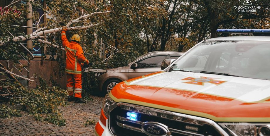 дерева, ДСНС, київ, негода