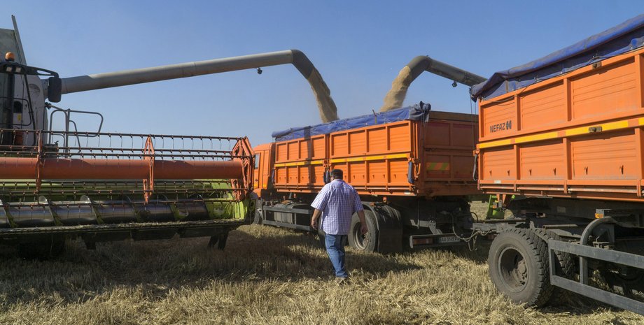 Урожай 2023, ранні зернові