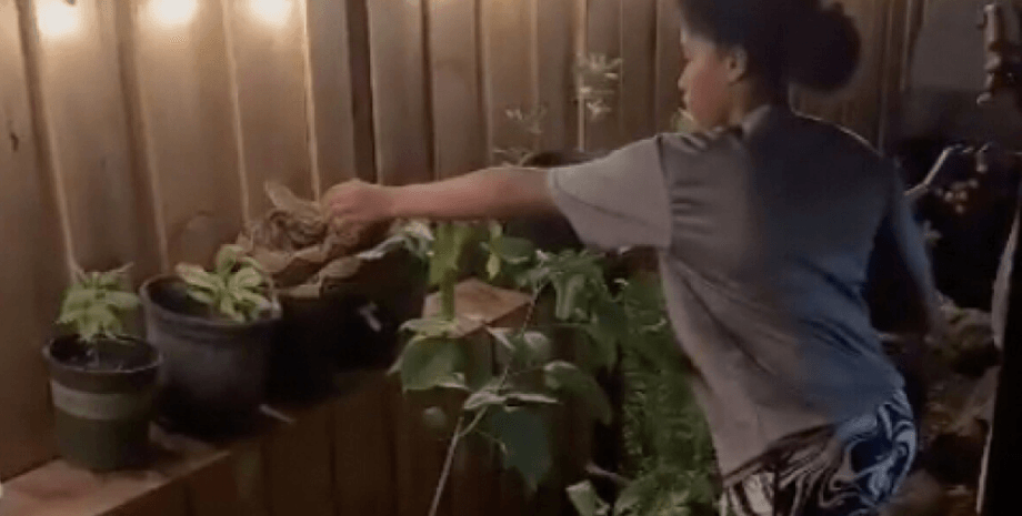 Девушка, подросток, змея, питов, дом, девочка