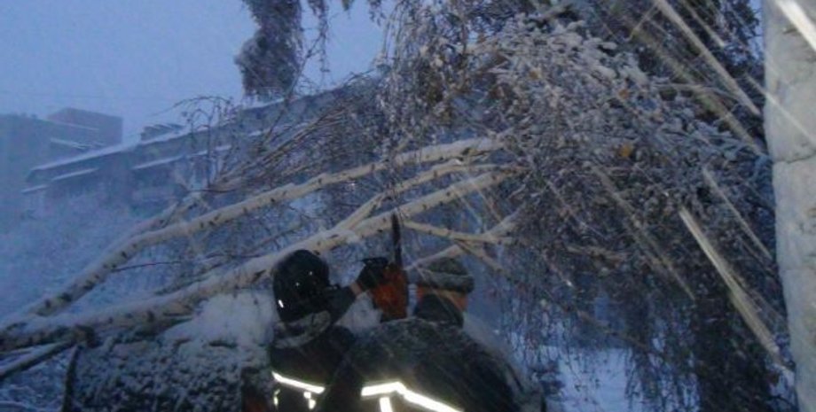 Стихия в Ивано-Франковской области / Фото: dsns.gov.ua