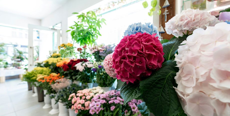 Квіти на перше вересня в Києві