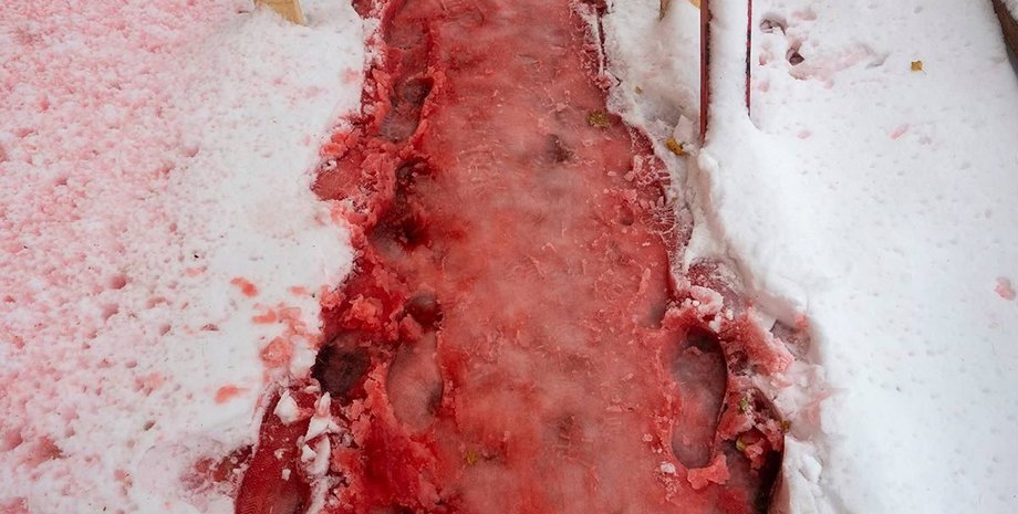 кровавые сосульки, кровавый снег, красные сосульки, красный снег