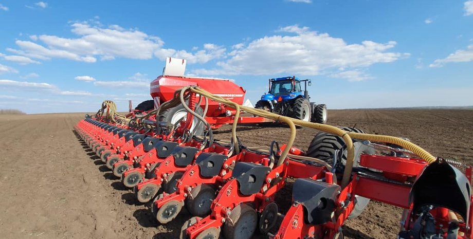 посевная, поле, озимые