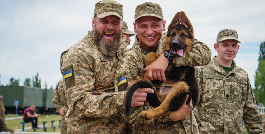 актеры, собака, пограничники, кадр из сериала