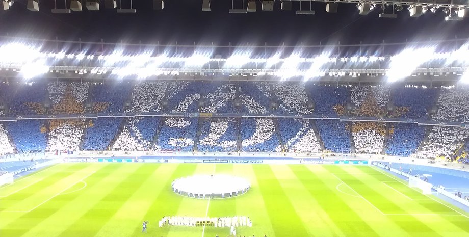 Модульное шоу болельщиков "Динамо" Киев / Фото из открытого источника