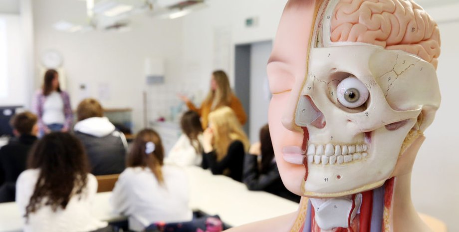 ИИ сможет заменить учителей в школах