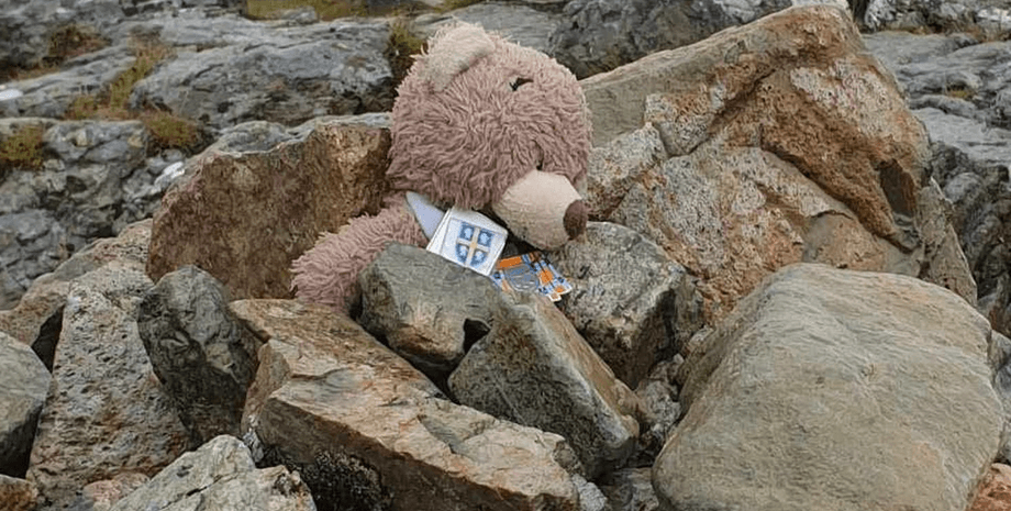 Плюшевый мишка в горах, плюшевый мишка, игрушка, горы, вершина горы, забыл в горах, потерял игрушку, путешествует по миру