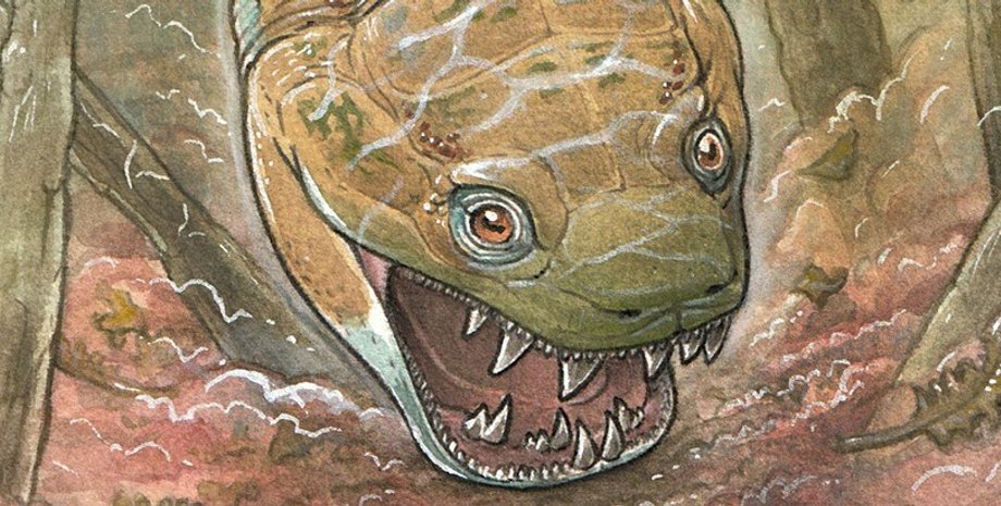 скам'янілість, стародавня саламандра