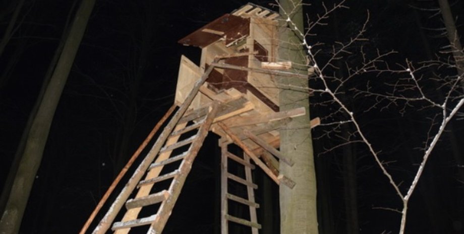 Фото: Нацполиция