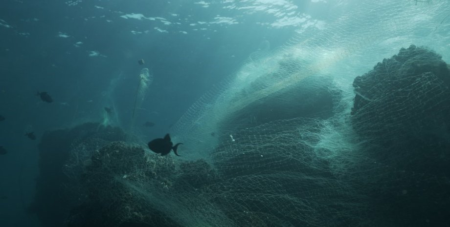 Рибальські сітки, океан, риба, вода
