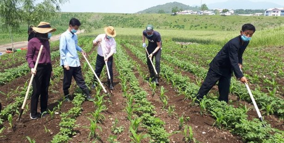 Российские дипломаты в КНДР
