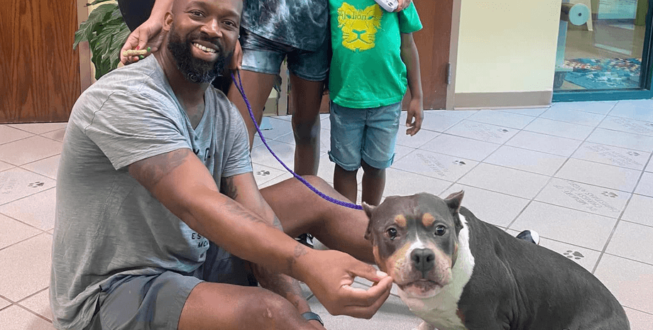 Нашли собаку спустя 3 года, семья, домашнее животное, питбуль, за 500 км от дома, микрочип собаки, искали 3 года собаку