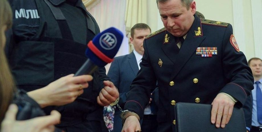Задержание Василия Стоецкого / Фото пресс-службы правительства