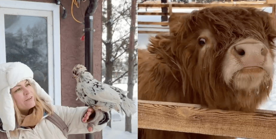 Киевлянка раскрыла интересные локации, где отдохнуть на выходных