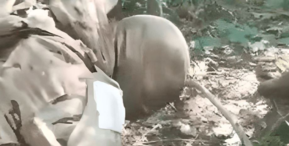 що відомо про страту українського військового