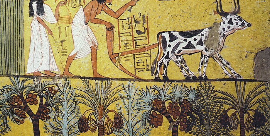 Фото: pxhere.com