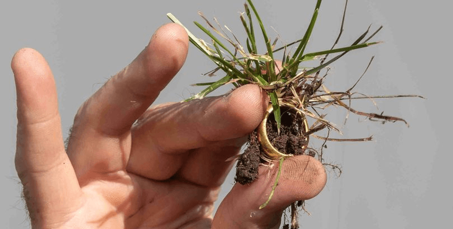 Найденное 500-летнее кольцо, кольцо, украшение, давняя реликвия, нашел металлоискателем, послание внутри, кольцо Posy