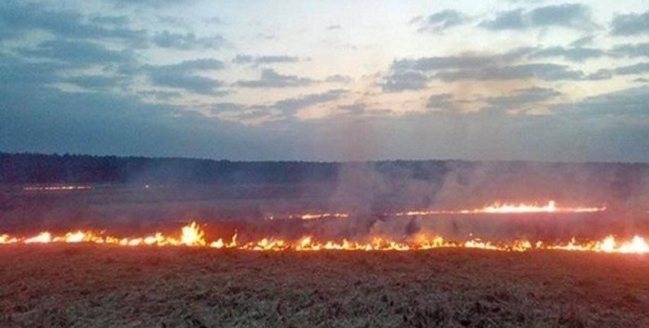 Фото: dsns.gov.ua