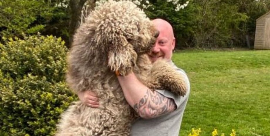 Огромная собака, большая собака, пудель, пушистый пудель, большое животное, думает, что он щенок, щенок, спас хозяина