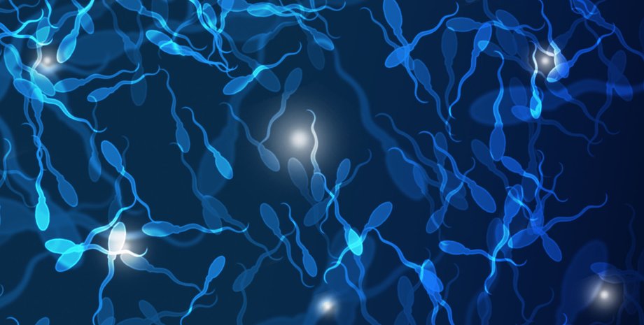 Фото: invitra.com