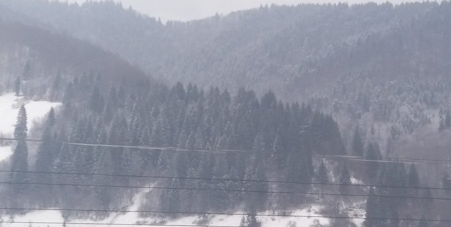 Фото: acebook.com/lavyny.official