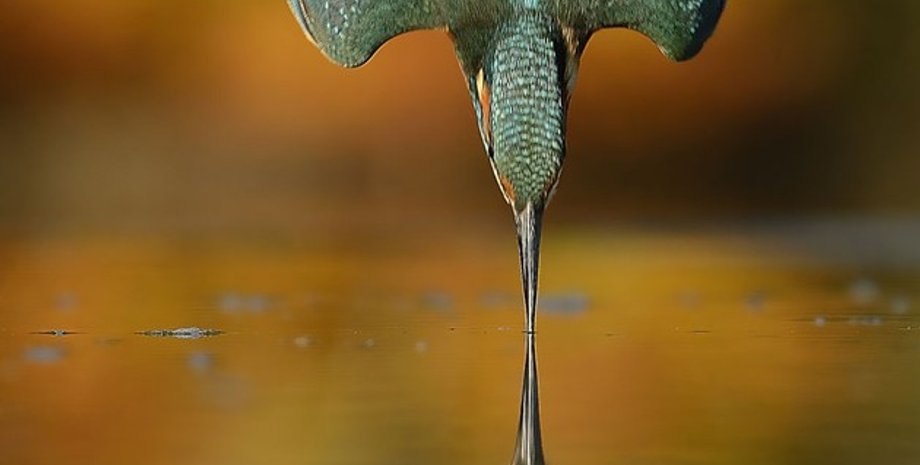 Фото: Alan McFadyen