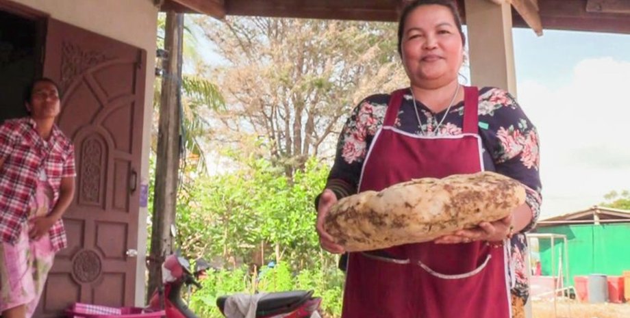 серая амбра, китовое золото, Таиланд, фото, находка на берегу