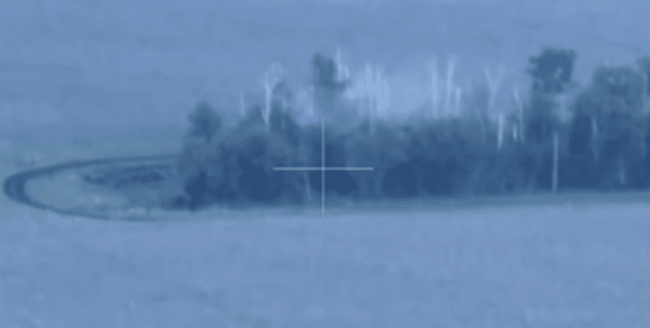 війна, лісосмуга, харківщина, дпсу, вовчанський напрямок