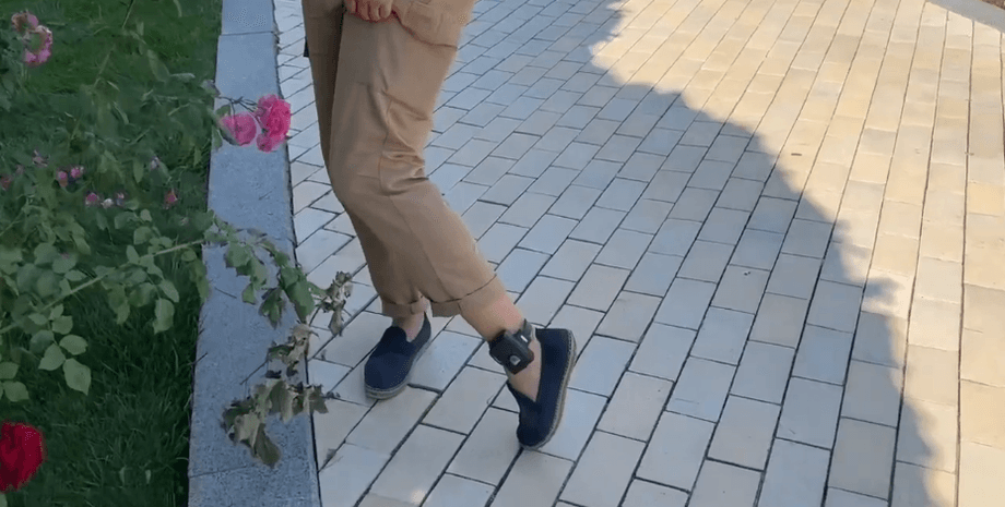 Дубинский браслет, Александр Дубинский, электронный браслет