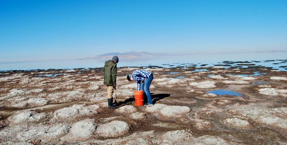 нематоди, солоність, озеро, Юта, США, черви, вид, життя, вчені, дослідження, експеримент, бактерії, мікробіаліти, умови