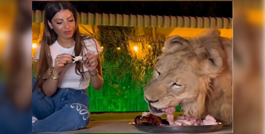Жінка їсть із левом, з однієї тарілки, соцмережі, їсть м'ясо, лев, небезпечна тварина, зоопарк, вірусне відео, хижак,