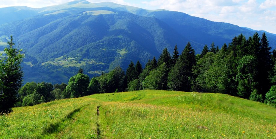 Фото: Фомич