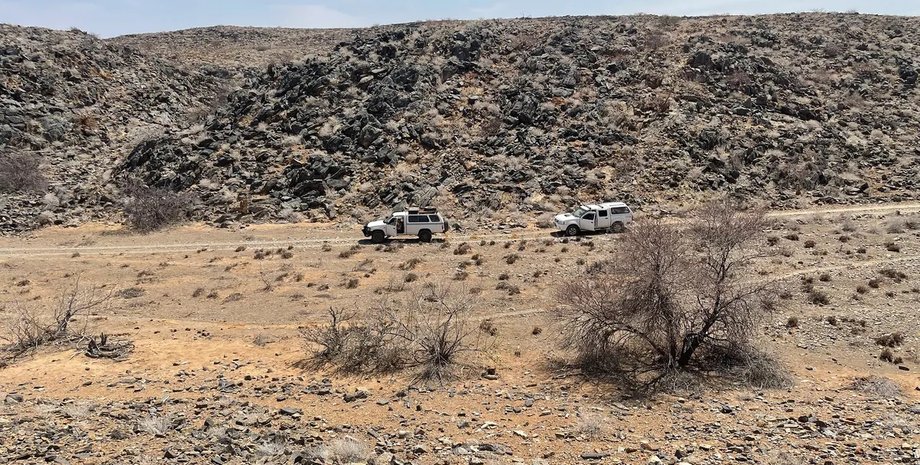 намибия, пустыня, новый вид