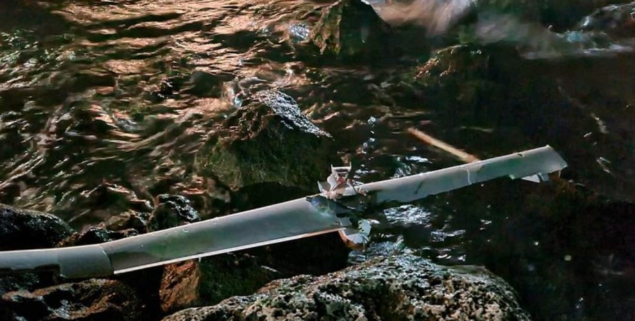 дрон, безпілотник, бпла, тюленеве