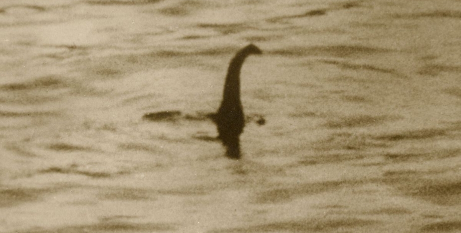 В Шотландии заметили Лохнесское чудовище лохнесское чудовище