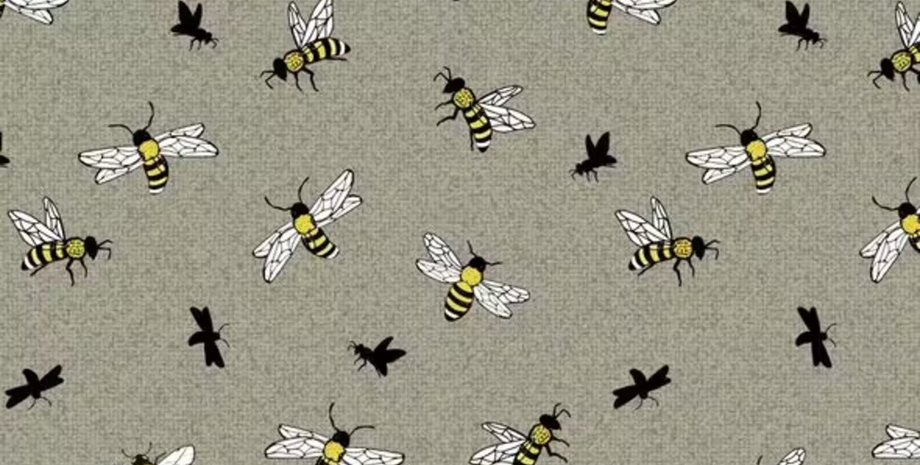 Візуальна головоломка, головоломка, загадка, оптична ілюзія, тренування уважності, тест на уважність