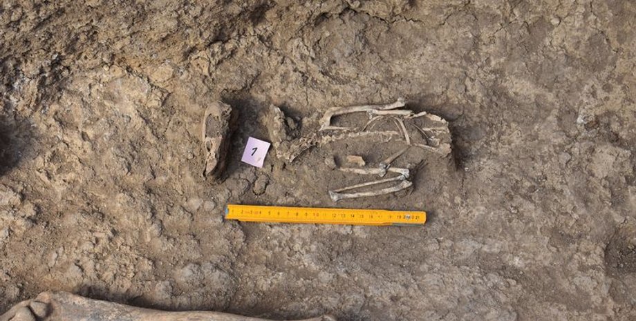 Фото: Институт археологии НАН Украины